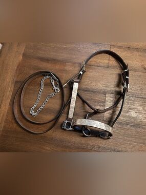Horse Tack - Leather & Silver Western Show Halter & Lead